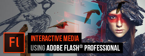 Rich Media Communication using Adobe Flash