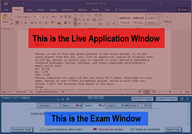 Image showing exam interface.