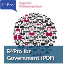 E^Pro Government Flyer
