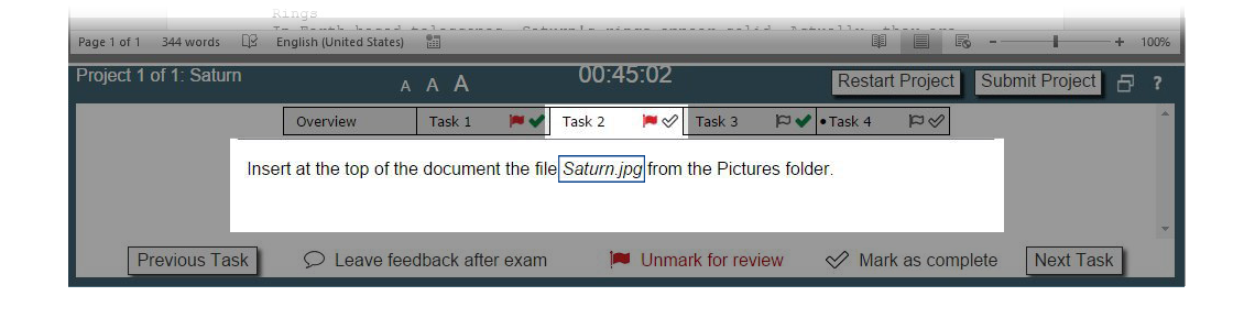 Image showing example of italicized task text.